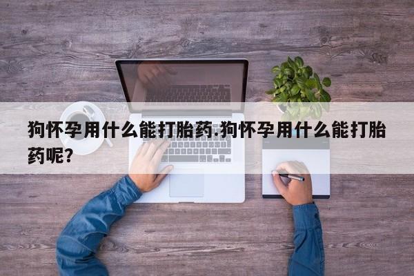 买打胎药私人联系方式狗怀孕用什么能打胎药.狗怀孕用什么能打胎药呢？