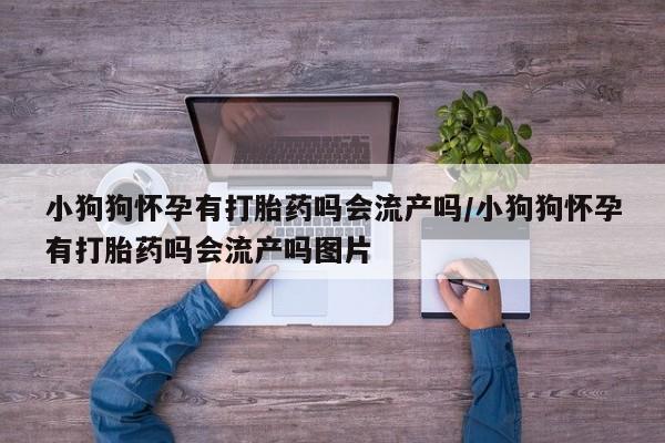 买打胎药私人联系方式小狗狗怀孕有打胎药吗会流产吗/小狗狗怀孕有打胎药吗会流产吗图片